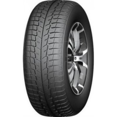 Windforce Catchsnow 225/65 R17 102T