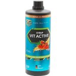 Z Konzept Vit Active Syrup Low Carb 1000 ml – Hledejceny.cz