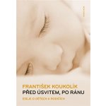 Před úsvitem, po ránu - František Koukolík – Hledejceny.cz