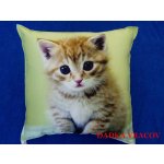 Dadka polštář Kotě na zeleném 40x40 – Zboží Dáma