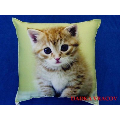 Dadka polštář Kotě na zeleném 40x40 – Zboží Dáma