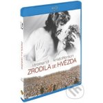 zrodila se hvězda BD – Hledejceny.cz