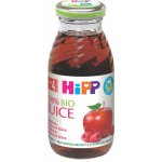 HiPP BIO Jablečno-malinová 200 ml – Zboží Dáma