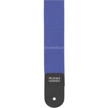 Planet Waves PWS1