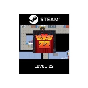 LEVEL 22