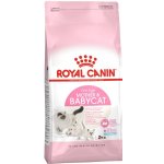 Royal Canin Mother & BabyCat 10 kg – Hledejceny.cz