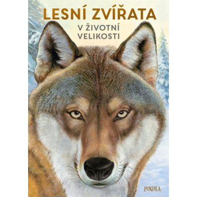 Lesní zvířata: V životní velikosti - Haag Holger – Hledejceny.cz