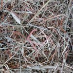 Apetit Johnny Hay Hlodavec Luční seno 5 kg – Hledejceny.cz