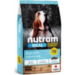 Nutram Ideal Weight Control Dog 2 x 11,4 kg – Hledejceny.cz