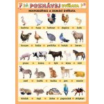 Poznávej zvířata - Hospodářská a domácí zvířata - Kupka Petr a kolektiv – Hledejceny.cz