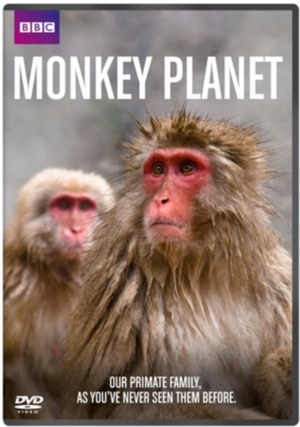 Monkey Planet DVD