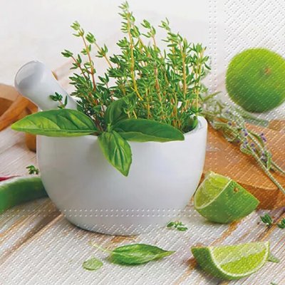 Paw Ubrousek 33x33cm Bylinky v květináči – Zboží Mobilmania