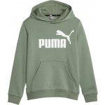 Puma Essentials Big Logo Hoodie Khaki – Hledejceny.cz