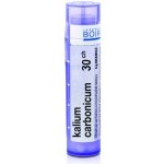 KALIUM CARBONICUM POR 30CH GRA 1X4G – Hledejceny.cz