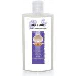 Brilliant Shampoo 250 ml – Hledejceny.cz