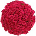 Kytice 100 růžových růží FUCHSIANA 70cm – Sleviste.cz