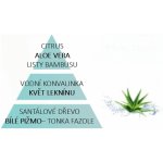 Maison Berger Paris náplň do katalycké lapmy Voda z aloe 500 ml – Zboží Dáma