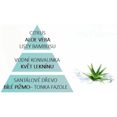 Maison Berger Paris náplň do katalycké lapmy Voda z aloe 500 ml – Zboží Dáma