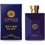 Versace Pour Homme Dylan Blue sprchový gel 250 ml – Hledejceny.cz