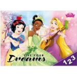 MFP Školní desky na číslice Disney Princess – Zboží Mobilmania