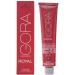 Schwarzkopf Igora Royal 6-0 Colorists's Color Creme 60 ml – Zboží Dáma