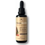 Hrotlife Chagaglow tinktura s vitamínem C, B6 a B12 60 ml – Hledejceny.cz