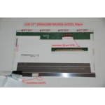 B170UW02 LCD 17" 1920x1200 WUXGA 2xCCFL 30pin display displej lesklý povrch – Zboží Živě