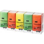 Maximus Fros papírové kapesníčky 3-vrstvé 10 x 10 ks – Zboží Dáma