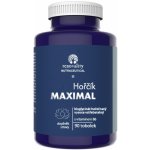 Renovality Hořčík Maximal s vitamínem B6 90 ks – Hledejceny.cz