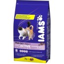 Krmivo pro kočky Iams ProActive Health Adult Multi Cat kuře & losos 15 kg