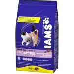 Iams ProActive Health Adult Multi Cat kuře & losos 15 kg – Sleviste.cz