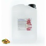 PM Aqualog esence do parních kabin papaya 863-003/D 3 l – Hledejceny.cz