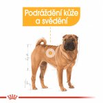 Royal Canin Medium Dermacomfort 10 kg – Hledejceny.cz