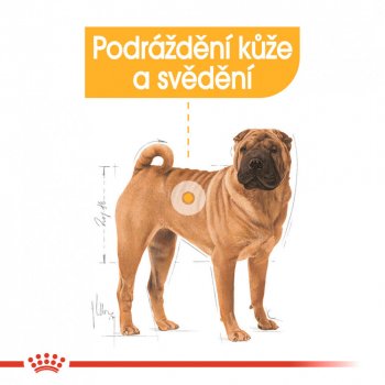 Royal Canin Medium Dermacomfort 10 kg