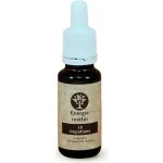Energie rostlin Bachovy esence 18 Impatiens Esence trpělivosti 20 ml – Hledejceny.cz