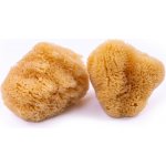 Caribbean Sun kosmetická mořská houba 3 - 5 cm 3 ks – Hledejceny.cz