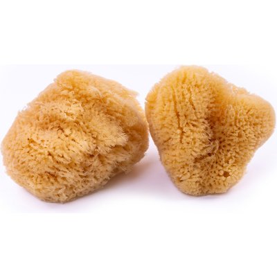 Caribbean Sun kosmetická mořská houba 3 - 5 cm 3 ks – Hledejceny.cz