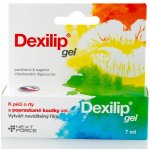 DEXILIP Gel na popraskané koutky 7 ml – Sleviste.cz