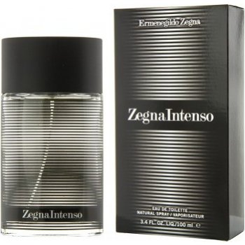 Ermenegildo Zegna Intenso toaletní voda pánská 100 ml