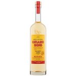 Gusano Rojo 38% 0,7 l (holá láhev) – Zboží Dáma