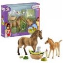 Schleich 42432 Set hříbě a Quarter kůň se štěňátkem a doplňky