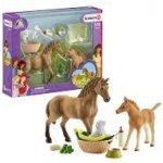 Schleich 42432 Set hříbě a Quarter kůň se štěňátkem a doplňky – Hledejceny.cz