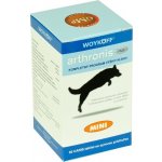 Arthronis fáze 1 Mini 60 tbl – Hledejceny.cz