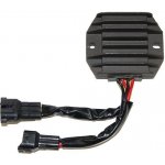 Regulátor napětí ElectroSport ESR541 – Zboží Mobilmania