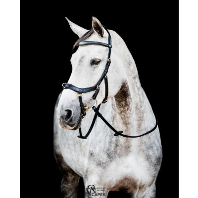 Horseware Uzdečka Micklem 2 Multi černá – Hledejceny.cz