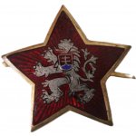 ČSLA čepicový odznak 50. léta originál – Hledejceny.cz
