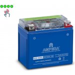 Ampera YTX5L-BS | Zboží Auto