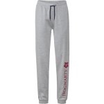 Pánské tepláky Harry Potter šedá – Zboží Dáma