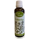 Serafin Vrbovka tinktura z bylin 50 ml – Hledejceny.cz