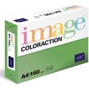 Coloraction A4 80 g Tmavě zelená 100 ks